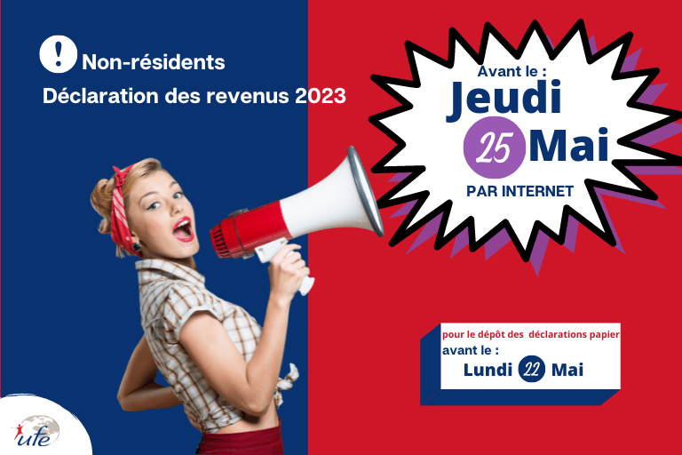 Déclaration d'impôts française 2022 (768 × 512 px)